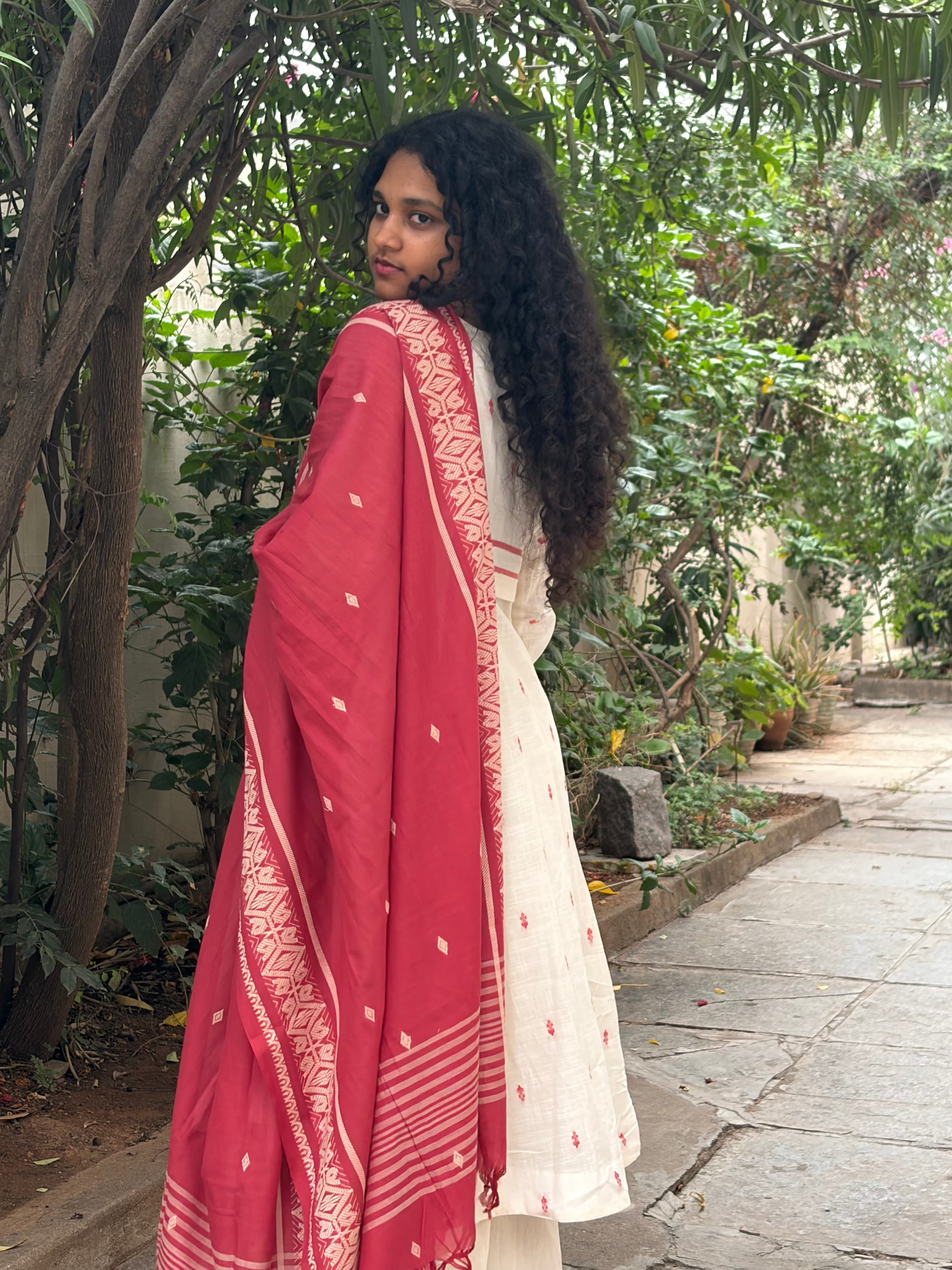 Ivory & Crimson Floral Butti Handloom Anarkali Set alternate view
